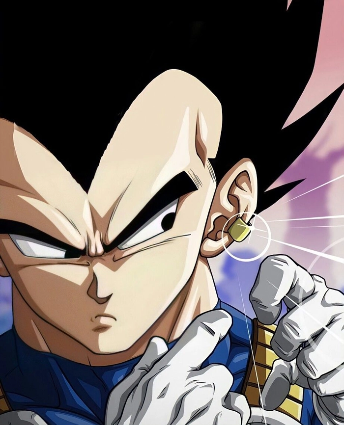 Vegeta PFP 4K