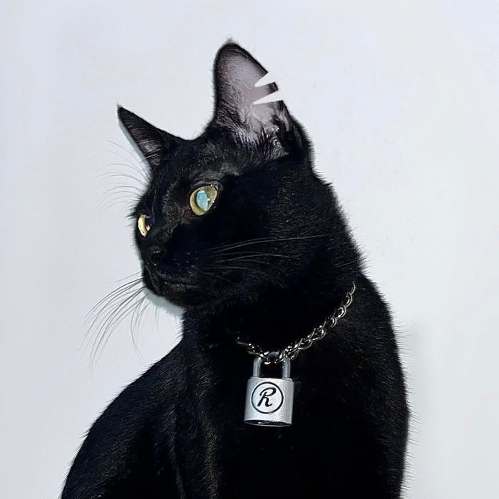 aesthetic black cat pfp with glowing eyes