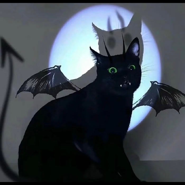 aesthetic black cat pfp with soft shadows