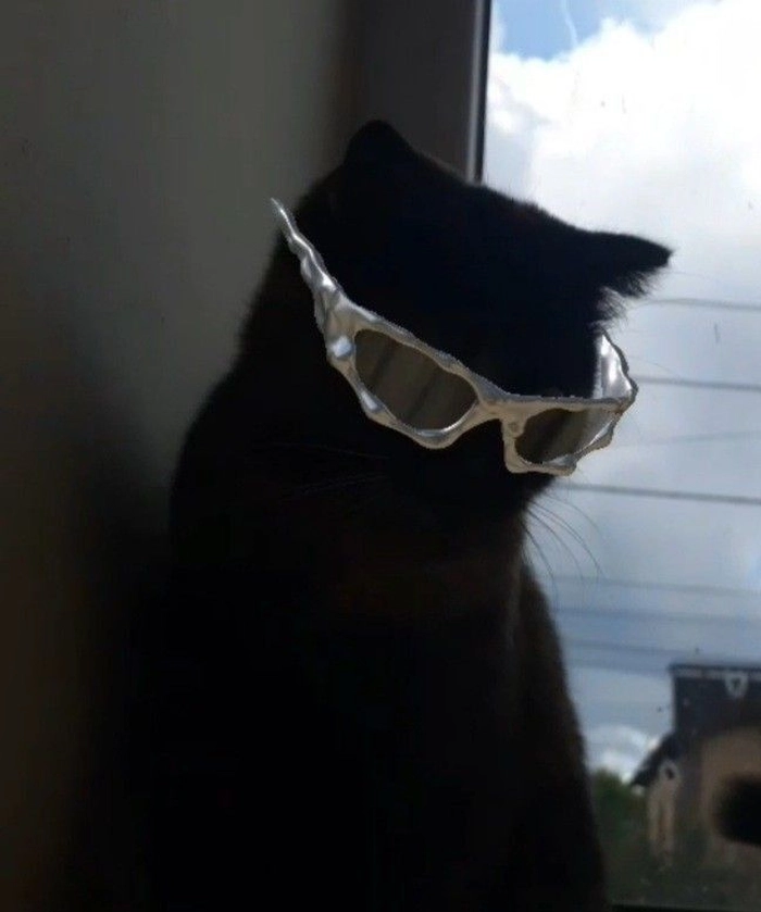 aesthetic black cat pfp