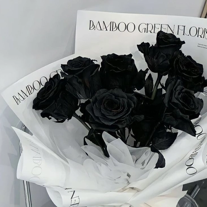 aesthetic black rose pfp