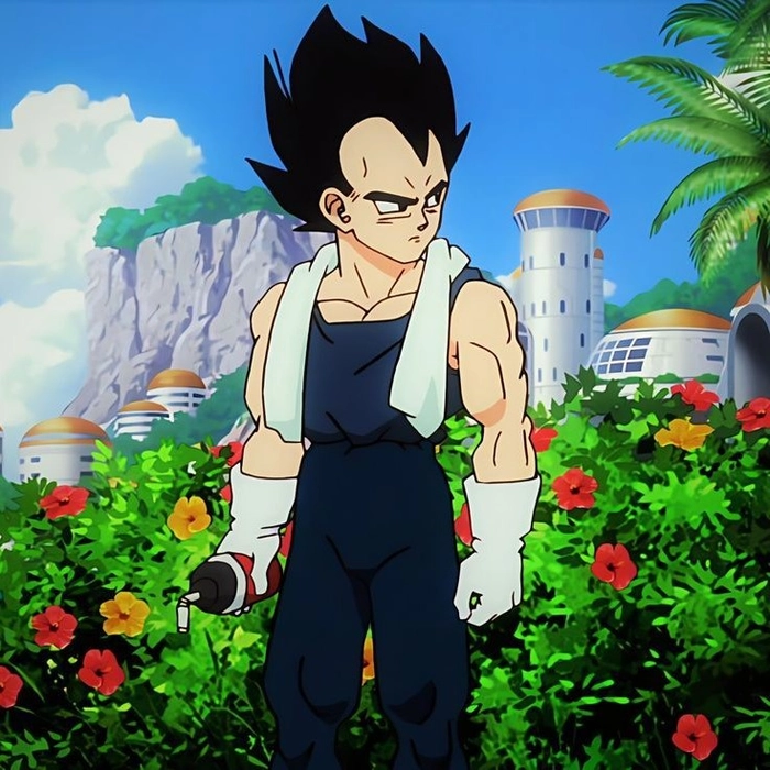 aesthetic vegeta pfp