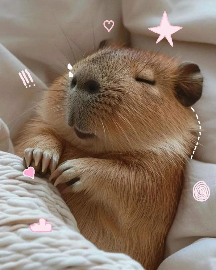 animal pfp aesthetic