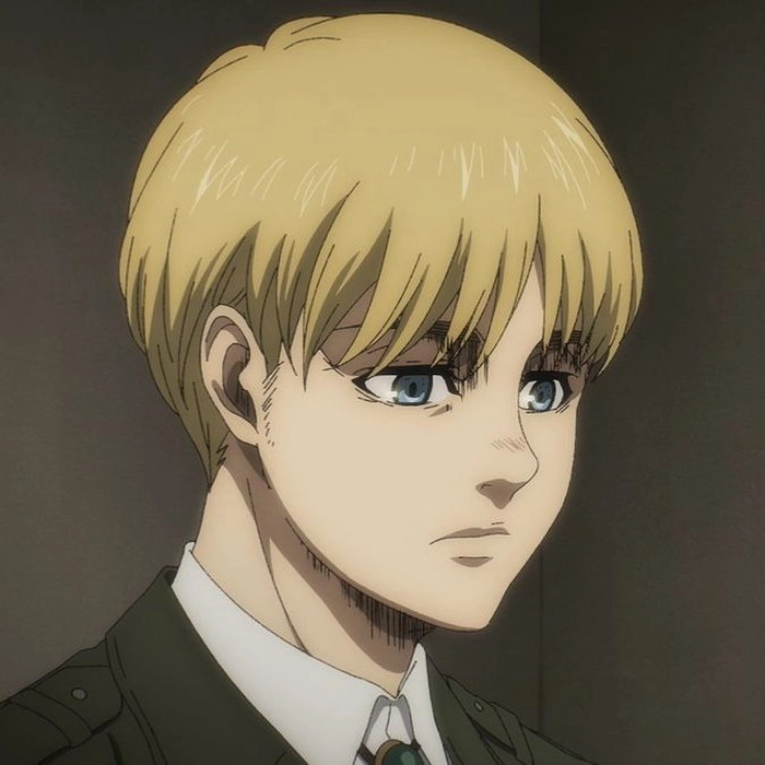 armin pfp aot