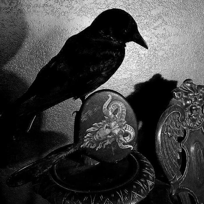 artistic black avatar