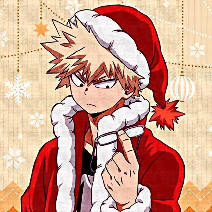 bakugou christmas pfp