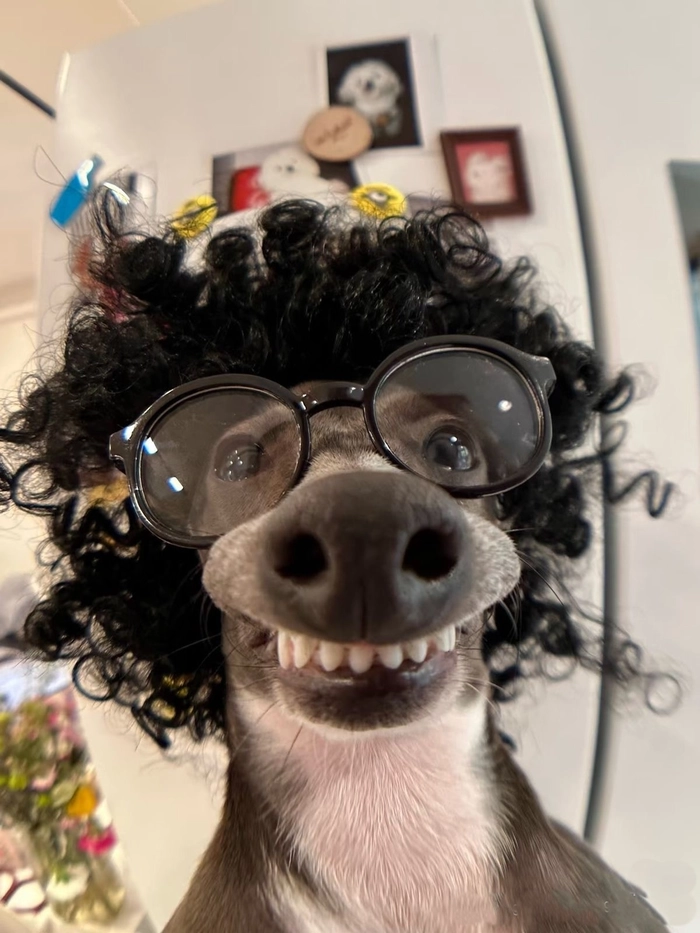 best funny pfp for instagram
