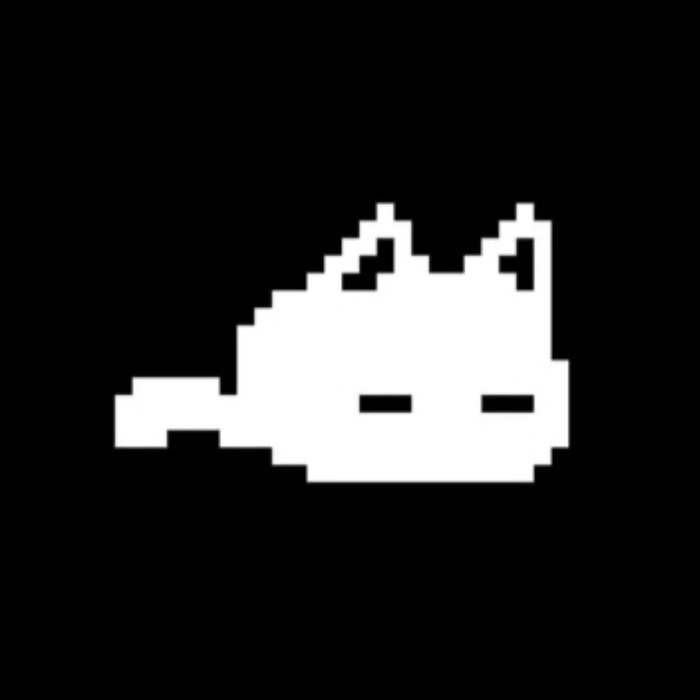 black and white cat pfp