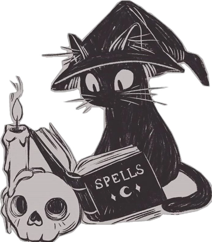 black cat pfp aesthetic