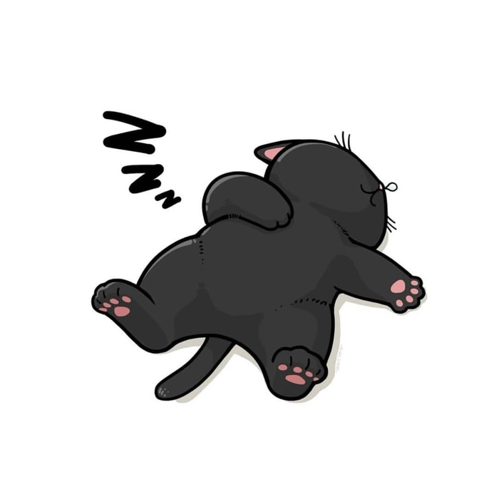 black cat pfp discord