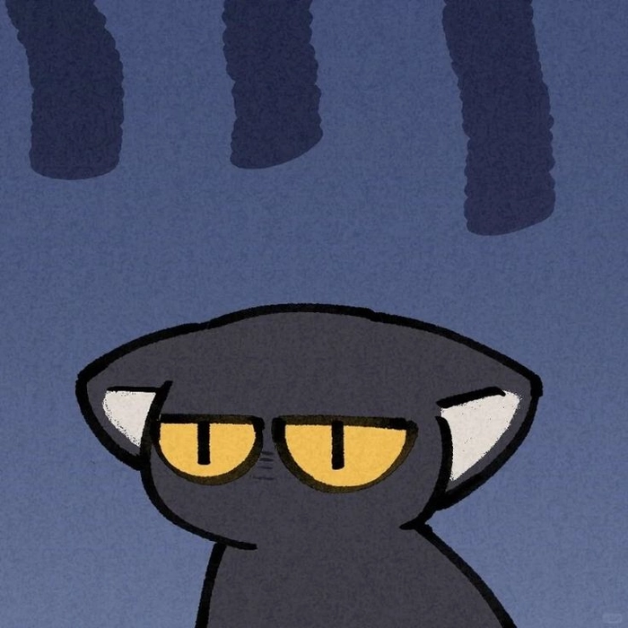 black cat pfp funny
