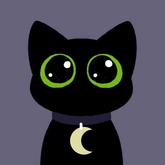 black cat pfps