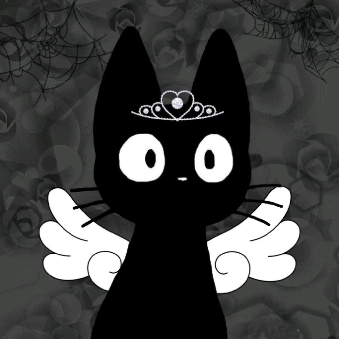 black cat with wings pfp