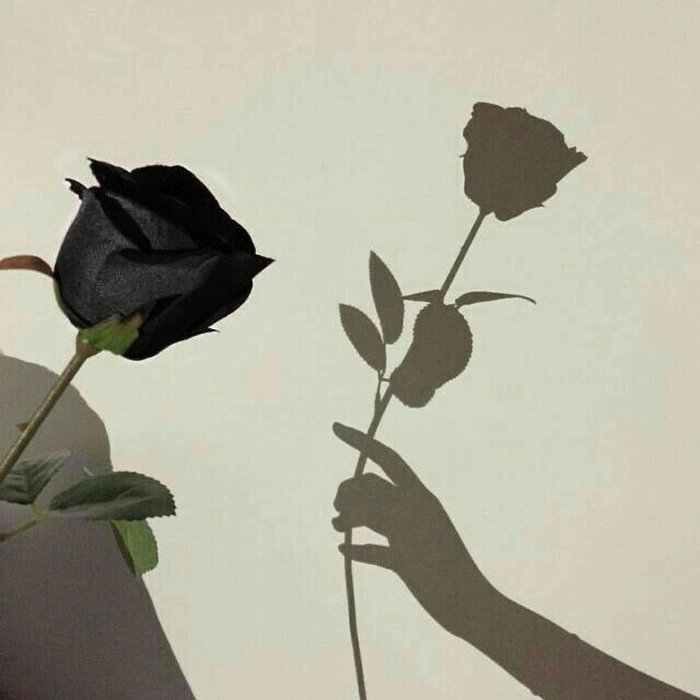 black flower pfp