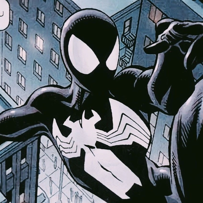 black spider man pfp