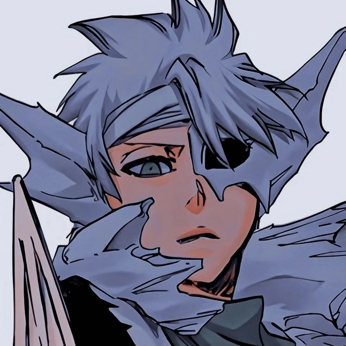 bleach toshiro manga pfp