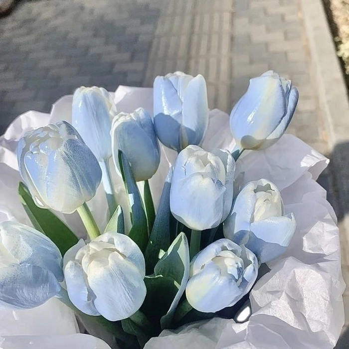 blue flower pfp