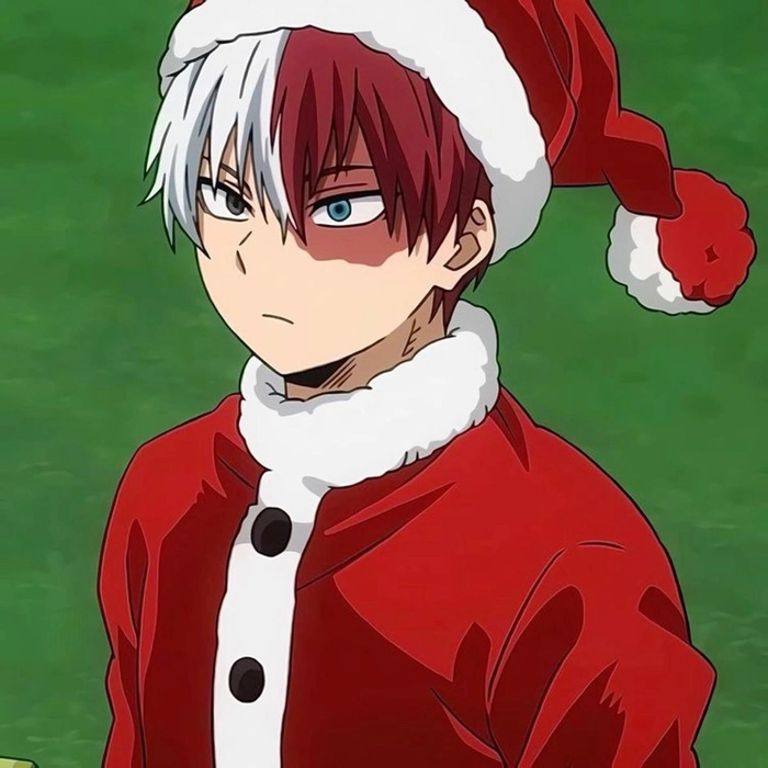 christmas todoroki pfp