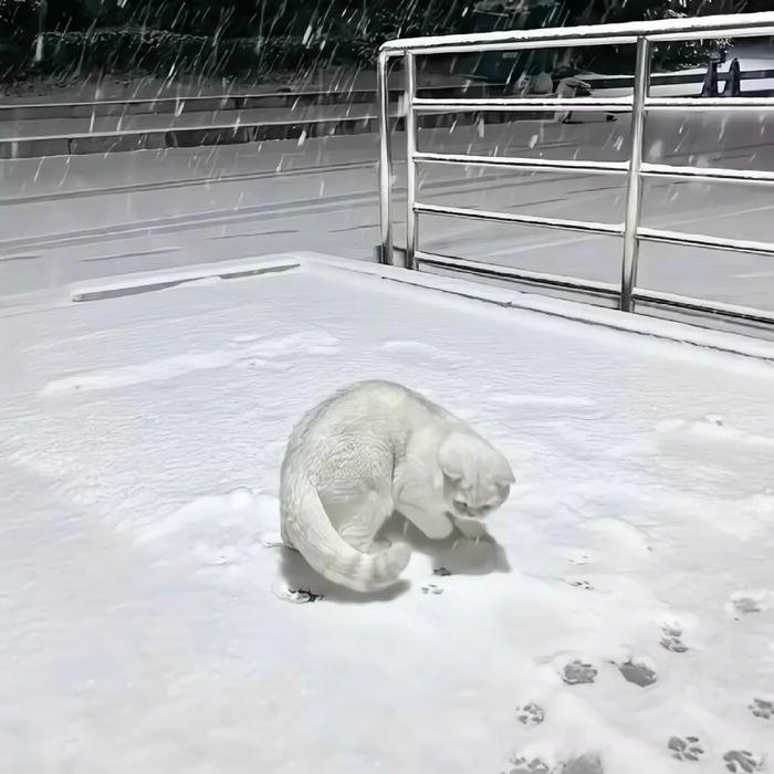 clean white aesthetic icon