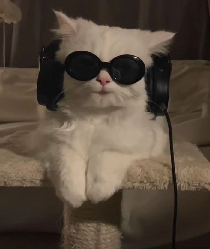 cool pfp not anime