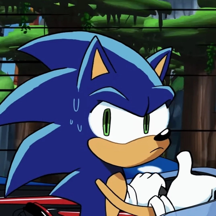 cool sonic pfp