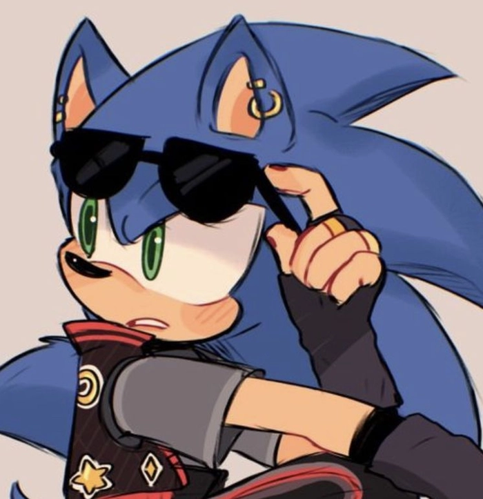 cool sonic profile pictures