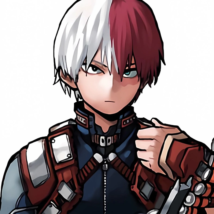cool todoroki pfp