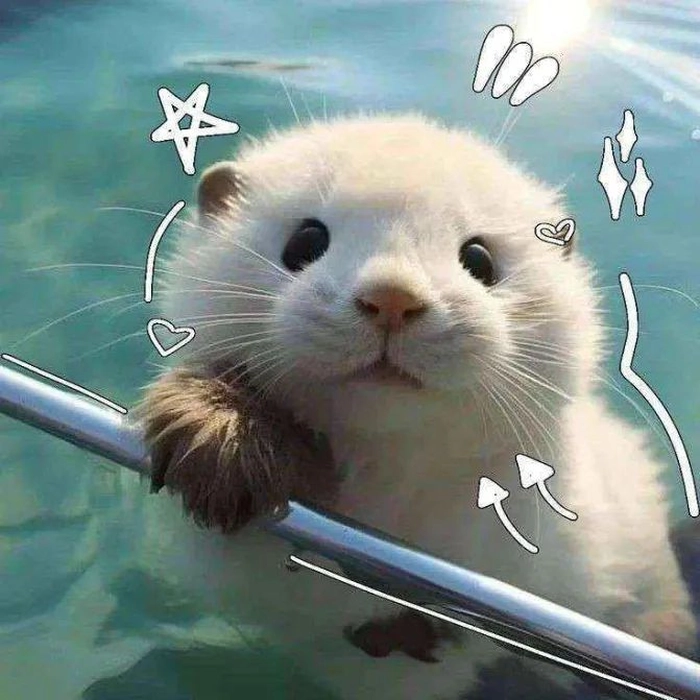 cute animal pfp aesthetic