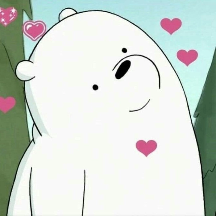 cute bear pfps