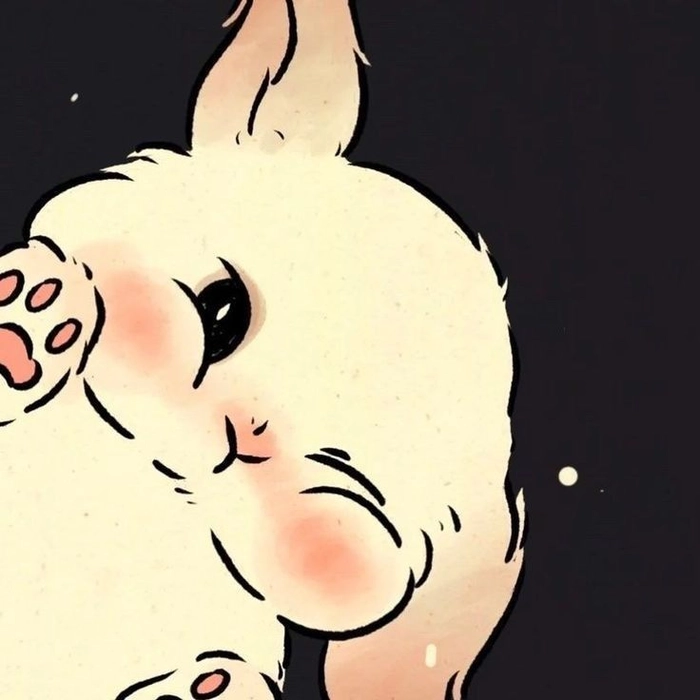 cute bunny pfp for discord
