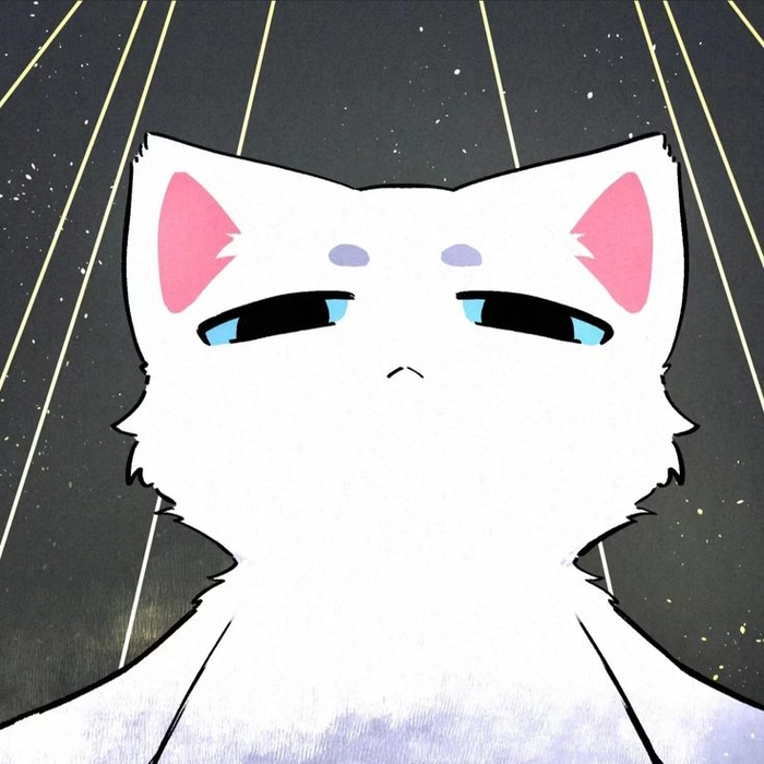 cute cat pfp aesthetic for instagram