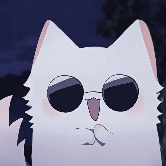 cute cat pfp anime