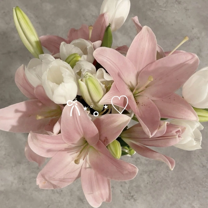 cute flower pfp