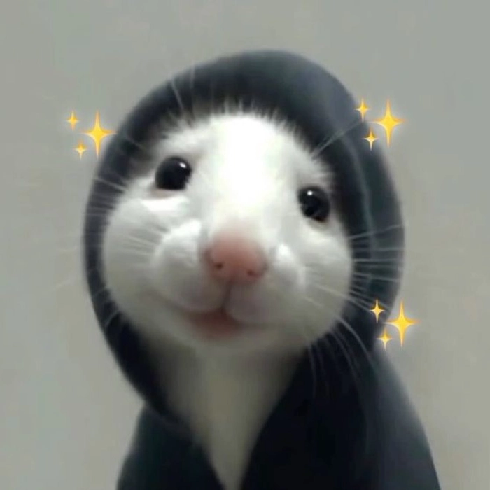 cute funny pfp