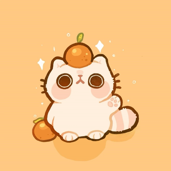 cute orange pfp