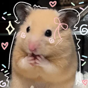 cute pfp animal