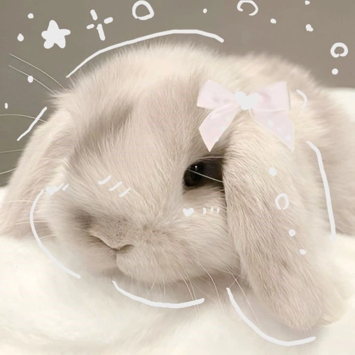cute pfp animals