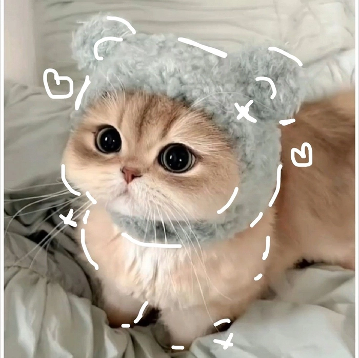 cute pfp for discord cat