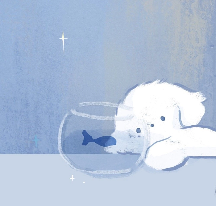 cute teddy bear pfp