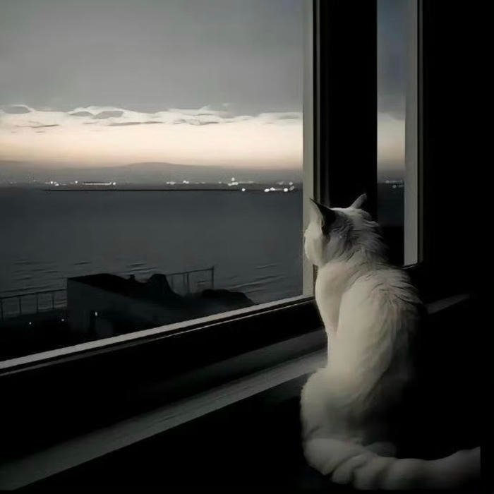 dark aesthetic profile picture