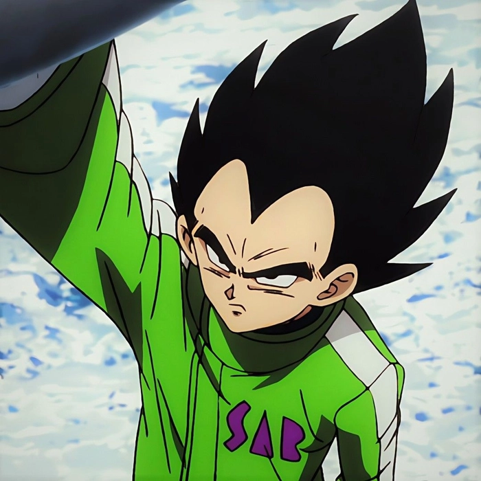 dbz vegeta pfp
