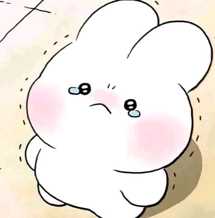 discord pfp funny profile pictures