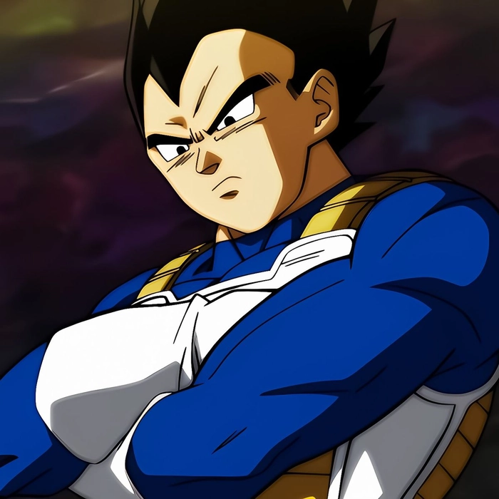 dragon ball vegeta pfp