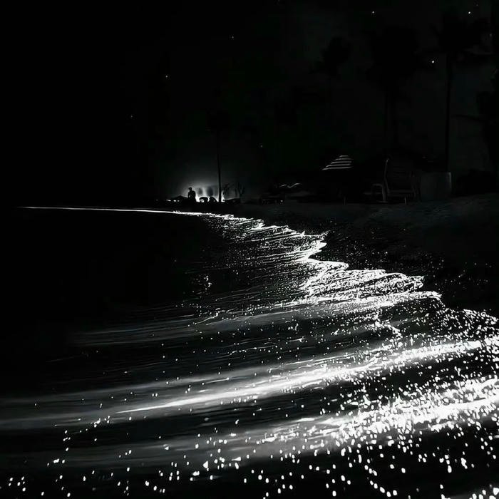 elegant black profile picture