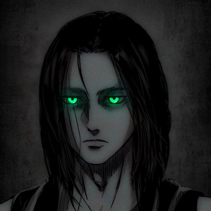 eren aot pfp