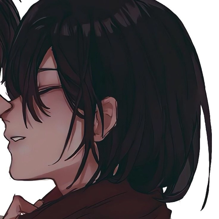 eren yeager and mikasa matching pfp mikasa