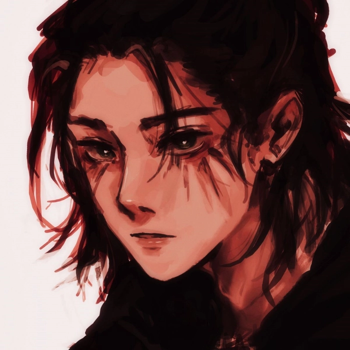 eren yeager long hair pfp