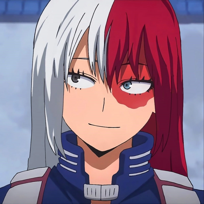 female todoroki pfp