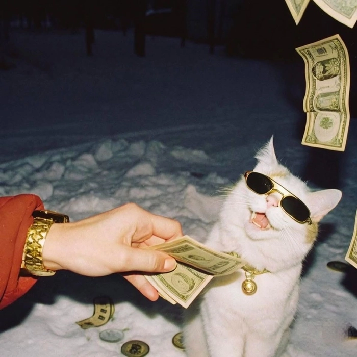 funny animal pfp