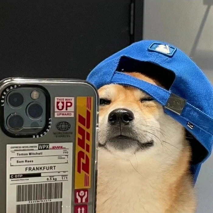 funny dog pfp for discord